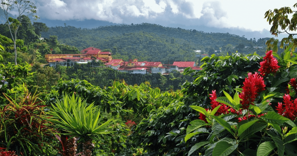 Renta de Autos en Tapachula, México Deal Mobility Rent a Car